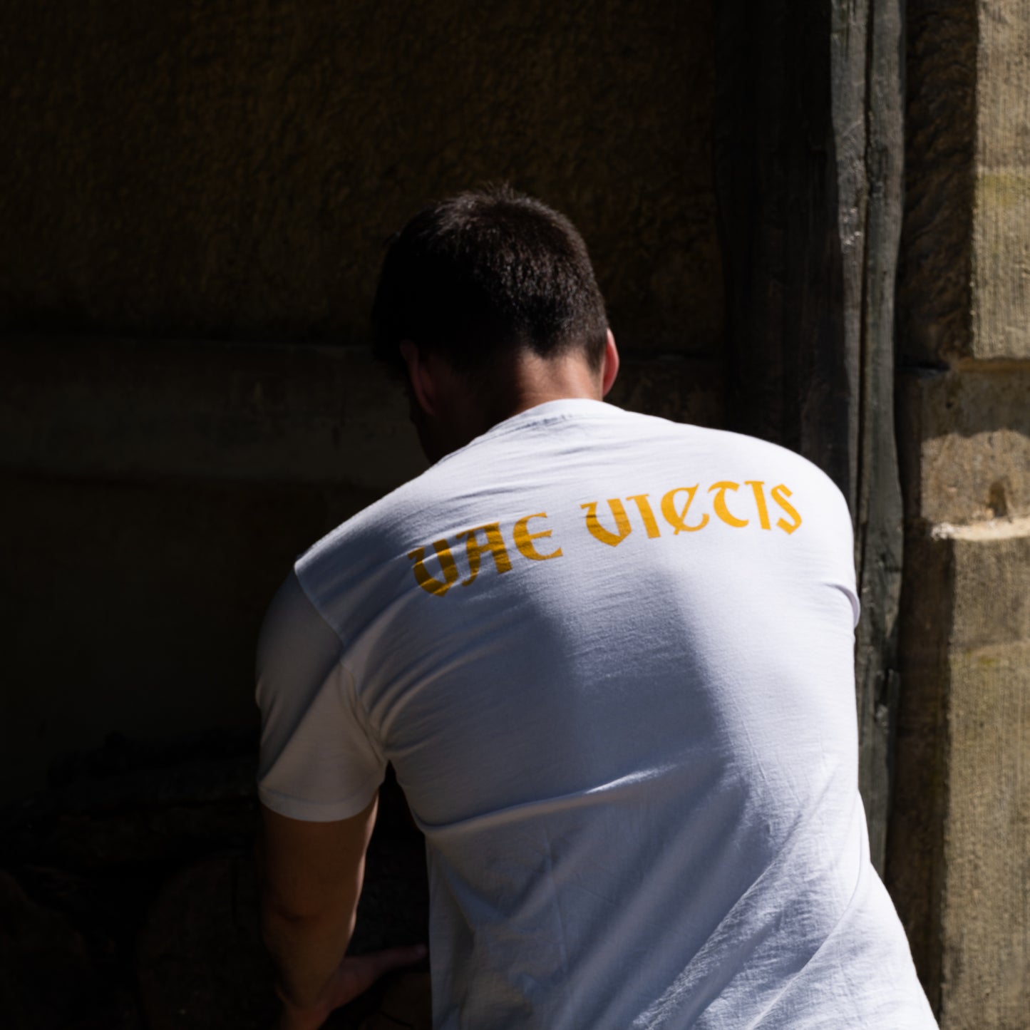 VAE VICTIS