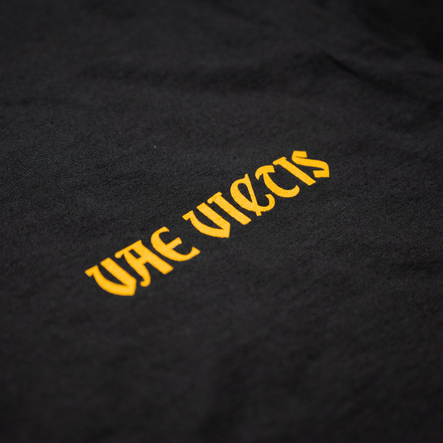 VAE VICTIS